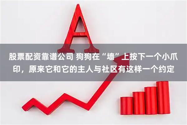 股票配资靠谱公司 狗狗在“墙”上按下一个小爪印，原来它和它的主人与社区有这样一个约定